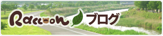 ラクーンブログトップへ