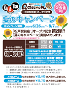 raccoon_spring2009_a4